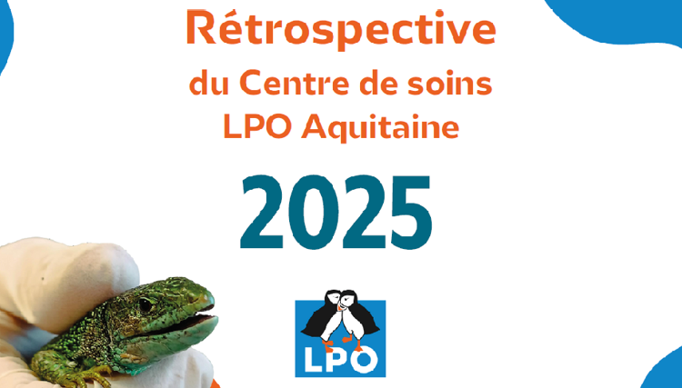 Le Centre de soins fait sa rétrospective 2025 !